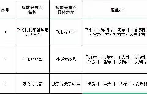 【10月29-31日6:00-12:00】飞竹镇关于开展区域核酸检测的通知