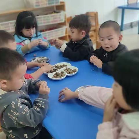 小可爱们在幼儿园的日常活动