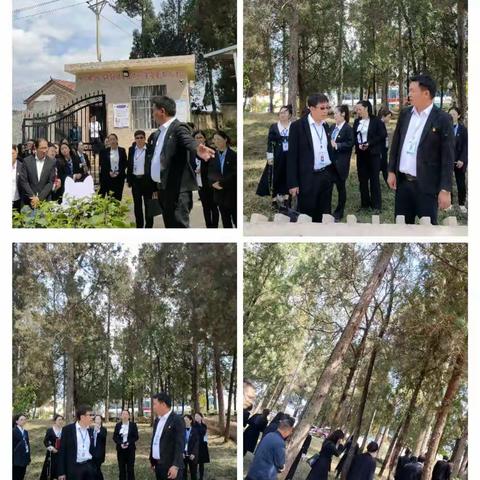 校际交流促成长，携手共进谱新篇——记文山市第一学区领导到姑娘寨小学参观指导