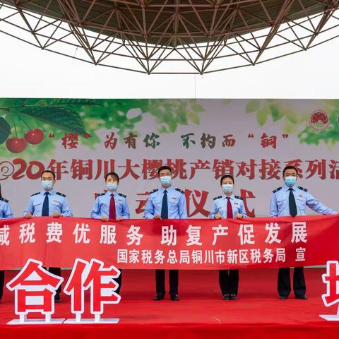 铜川新区税务：税收路上“樱”为有你  一面日光一面果香