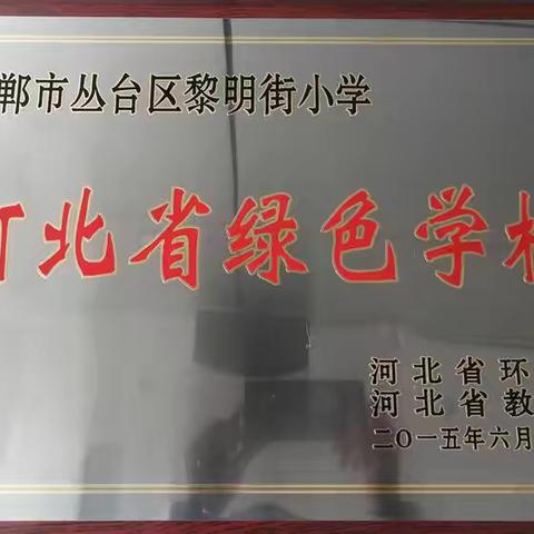 邯郸市“打赢蓝天保卫战 我是行动者”系列宣传教育活动启动仪式在丛台区黎明小学举行