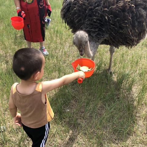 布林泉四世同堂之旅