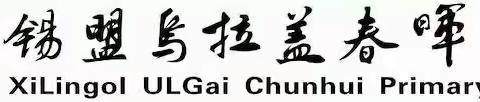 传承传统文化  展示书法风采——二年一班硬笔书法比赛