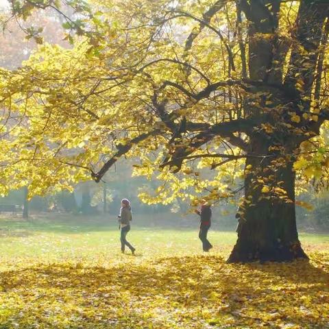 幼儿园通知：大幅度降温，注意孩子卫生保健，预防感冒