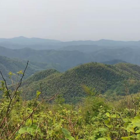 骑行梅岭208高地