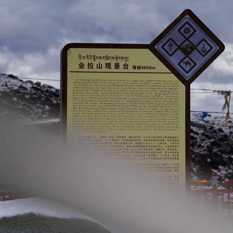 2023-3-28日，我们行走318川藏线，在行走业拉山的路上塞车，沿途山峰非常漂亮，美不胜收！下车拍摄记录下来。