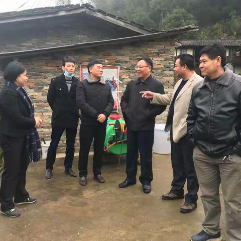 市督导组到郑湖乡督查指导非洲猪瘟防控工作