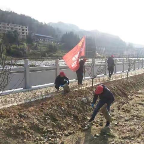 郑湖乡：全力治水迎新春，河道清障不停歇