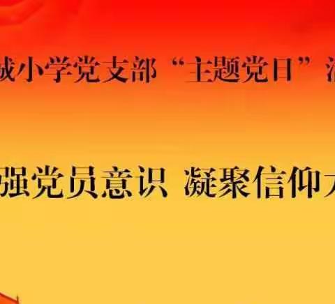 静宁县新城小学党支部组织开展5月份“主题党日”活动