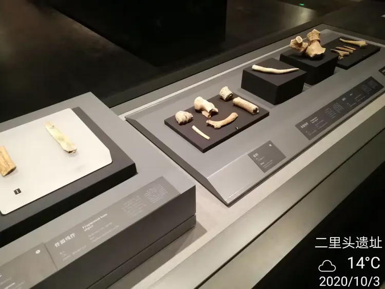 《二里头夏都遗址博物馆》