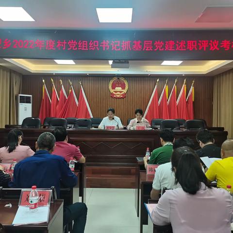提蒙乡召开2022年度村党组织书记抓基层党建工作述职评议会