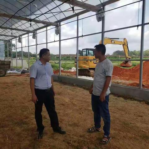 提蒙乡党委书记陈法荣到曾山菜篮子基地调研建设工作