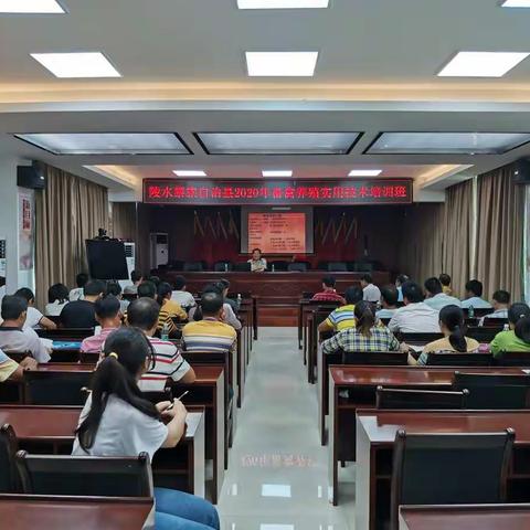 提蒙乡举办2020年畜禽养殖实用技术培训活动