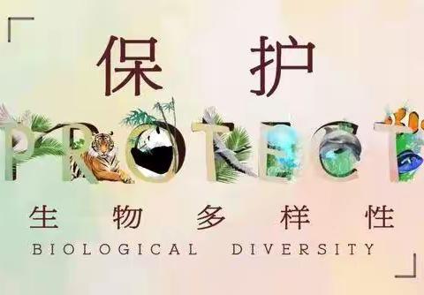 探索多样生物 守护地球家园——涉县龙南小学六年级项目化学习