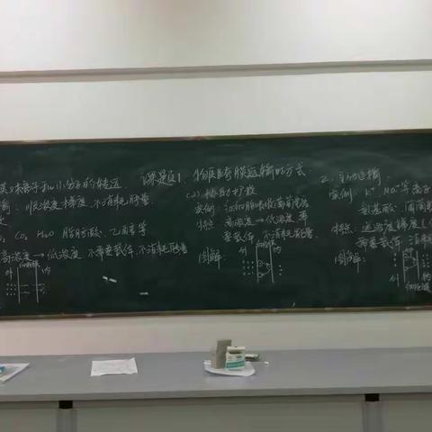 南大附中儋州一中生物组全体成员，进行板书预赛