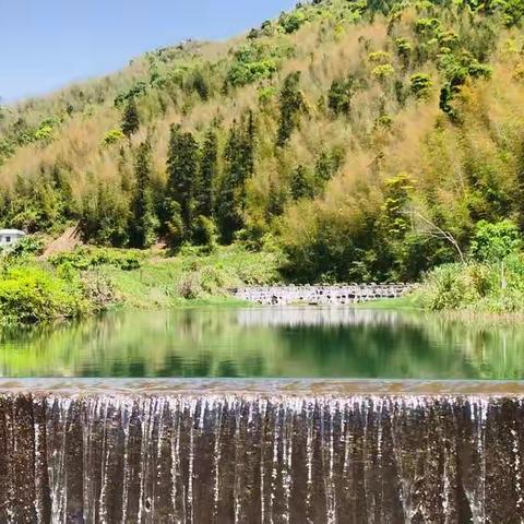 同课异构展风采，互相切磋促提高——陆河县实验小学习作教学同课异构教研活动