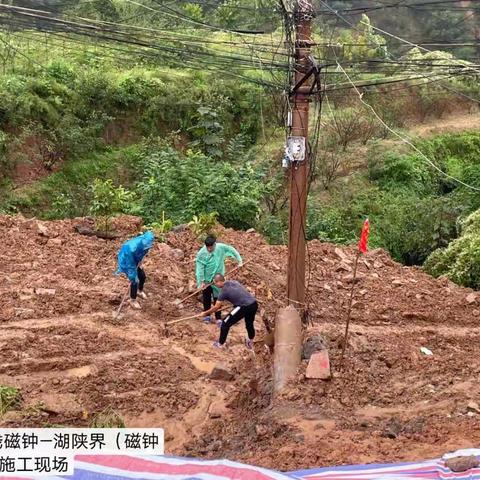 工程建设周工作进展：