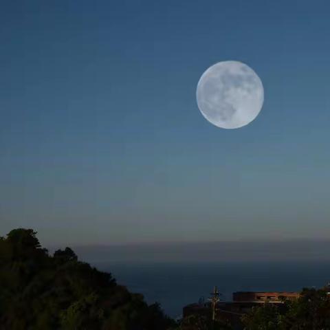 月到中秋分外明