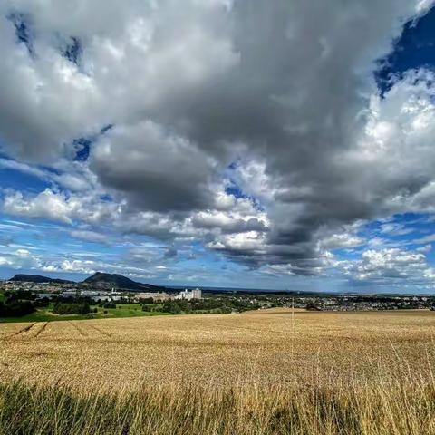 又是一度秋风起