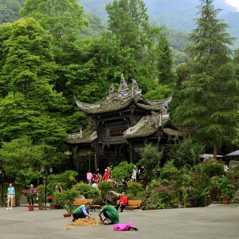 青城后山风光