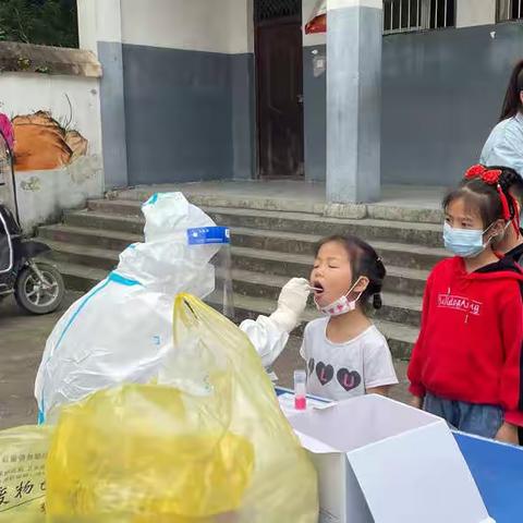 岑丰小学第十四周工作汇总（5.16-5.20）