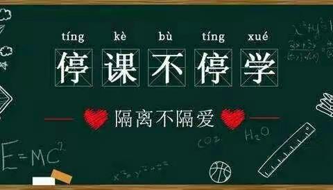 停课不停学，网上授课总结——肖旗乡解庄小学4月10日