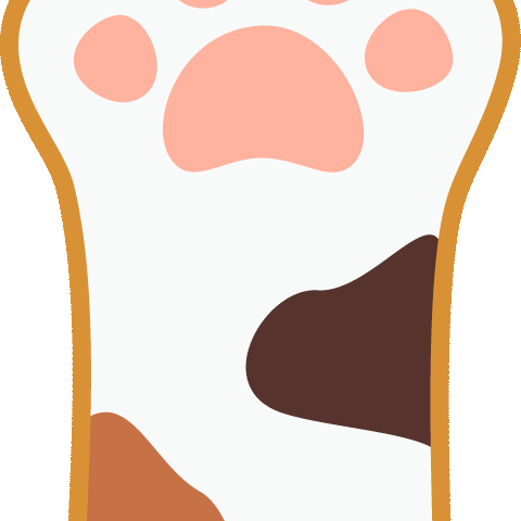 【八滩镇中心幼儿园】小班音乐律动游戏《找小猫》