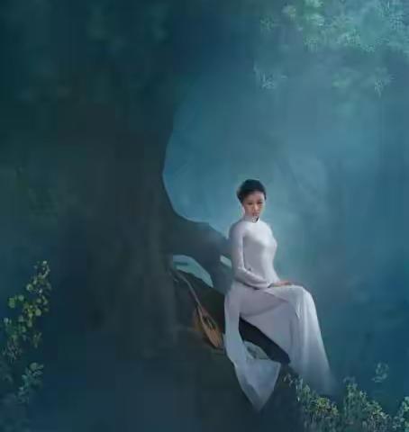 奥黛飘逸· 越南摄影 · 越南佳丽·美轮美奂