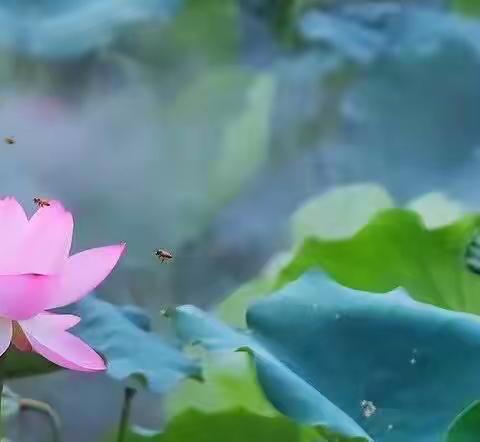 红裤头（三）【小说】
