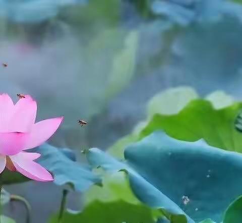 红裤头（二）【小说】