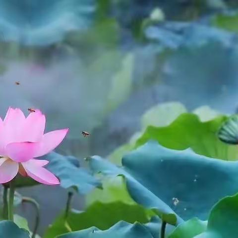 红裤头（四）【小说】