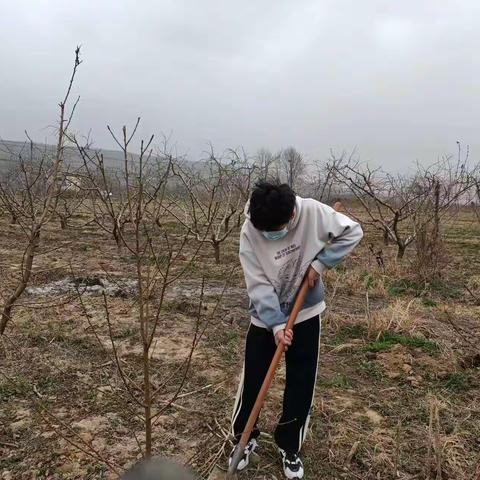 故县一中：又是一年春草香，阳春三月植树忙