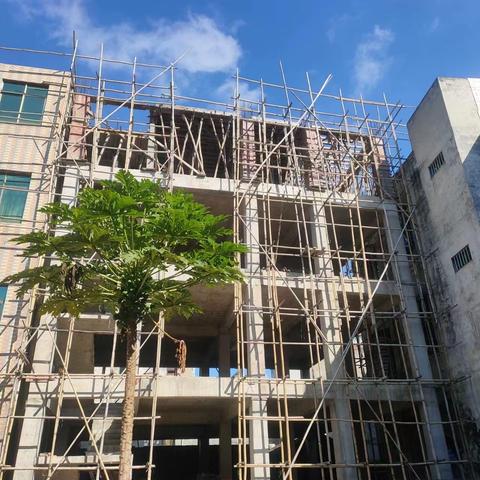 秀英区违法建筑专项整治工作日报（2022年12月5日）