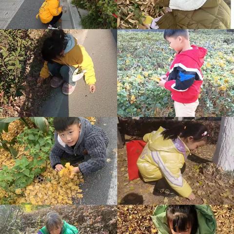 界牌中心小学一（3）班第二次线下读书会——《寻找秋天》树叶画