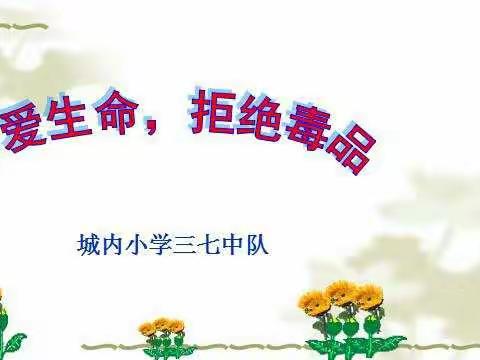 城内小学三七班珍爱生命拒绝毒品主题班会