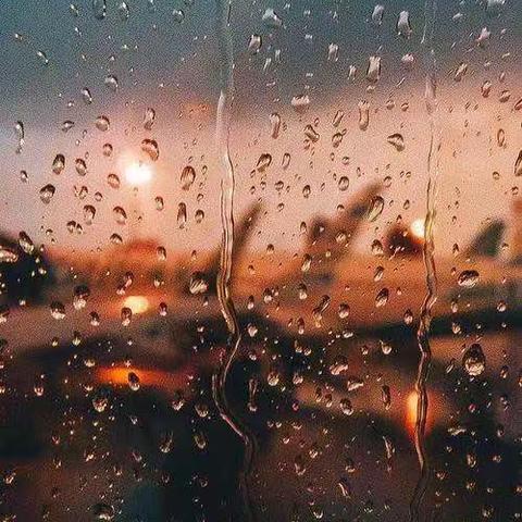 心  雨