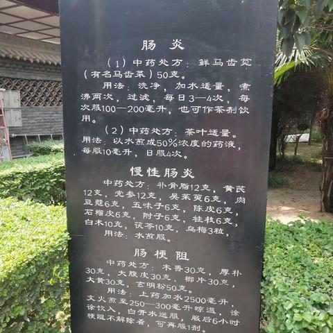 参观扁鹊纪念馆拍的偏方