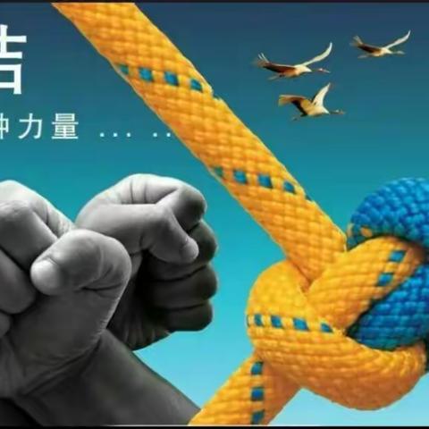 区分行及市分行两级领导莅林荫路支行开展零售业务督导调研