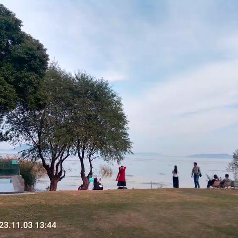 家乡的月儿圆（原创电影故事）