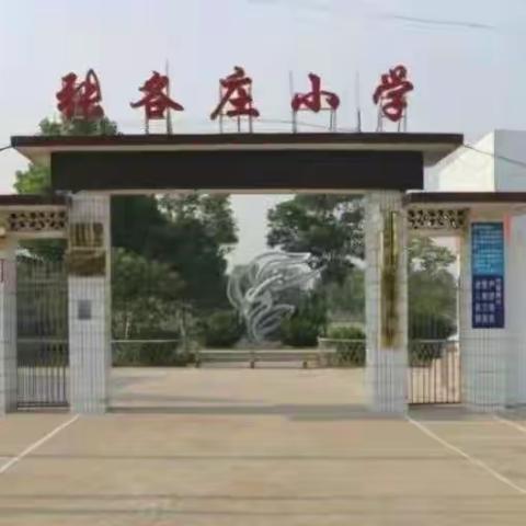 张各庄小学招录见习岗通知