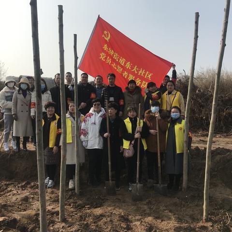 春风十里，不如有树有你，——记东城街道东大社区3.12志愿植树活动