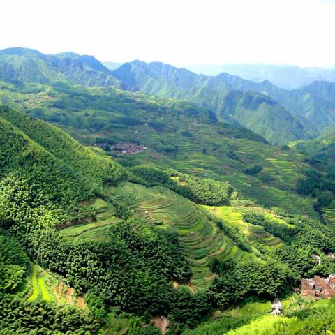 福建浙南游记（下）