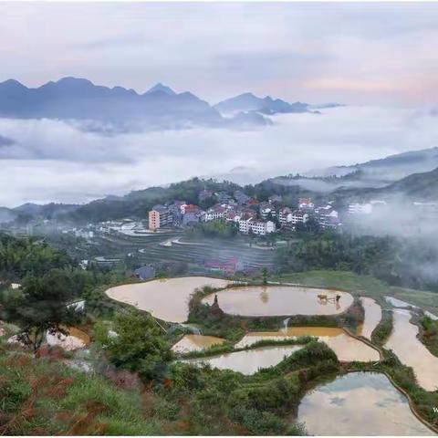 温州市永嘉茗岙梯田开犁节