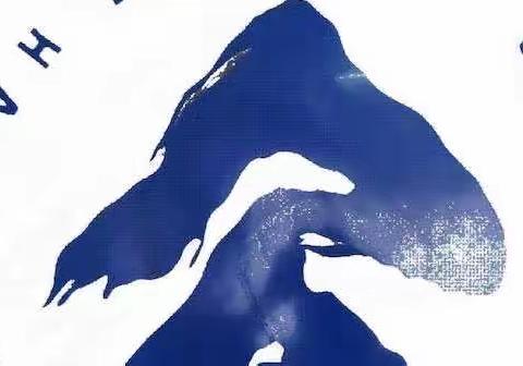 线上听课精准把脉，云端视导提质增效——公园路小学迎龙沙区教师进修学校视导