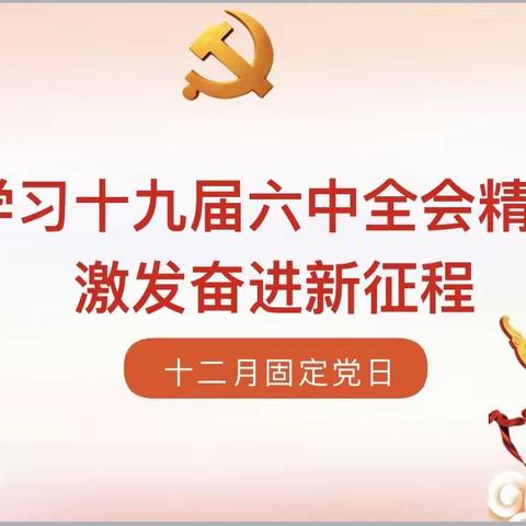 学习十九届六中全会精神 激发奋进新征程——公园路小学党支部十二月固定党日