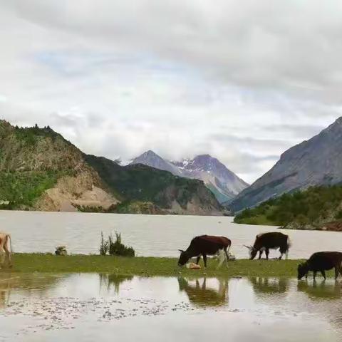 心灵之旅（二）