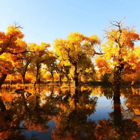 一路向西（三）