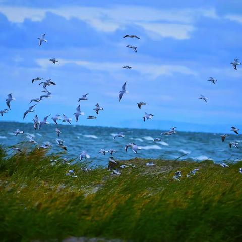 一路向西（二）