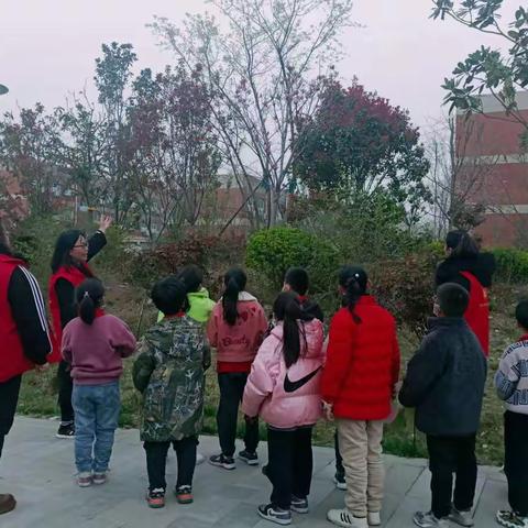 大手拉小手，为地球添一抹绿——中共新郑外国语小学支部委员会3月份主题党日活动