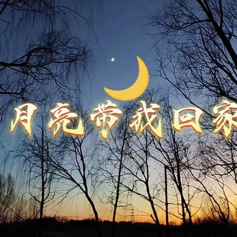 月亮带我回家
